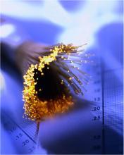 Projekt dobil največ točk in dobrih 14,6 milijona nepovratnega denarja.